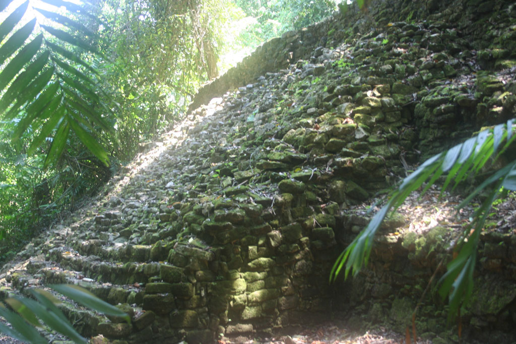 stairs - found in the jungle - © Tom Loewen | 14x3.de